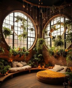 a room with two circular windows and plants hanging from the ceiling