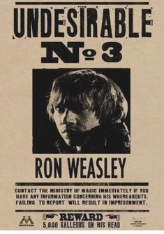 an advertisement for the band's upcoming album, undesirable no 3