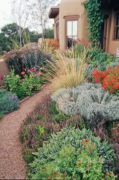 a garden with various plants and flowers in front of a house