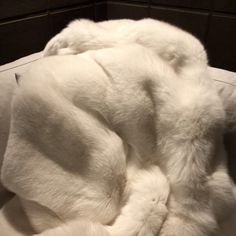 Genuine Luxury Full Skin REAL FOX FUR Throwfur Comforterfur - Etsy Fox Top, Fur Pillows, Fox Blanket, Blanket Comforter, Fur Rug, Fur Pillow, Bed Throw