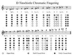 sheet music with the words d twinklele chromatictic engineering