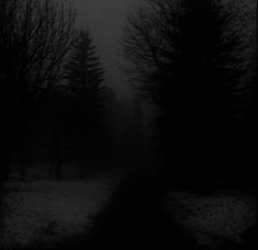 лес мрак эстетика темный лес Dark Foggy Forest, Dark Winter Aesthetic, Grey Hour, Dark Core, Snowy Woods, Snow Forest, Foggy Forest