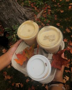 Two hands holding a tray of three coffees, two iced coffees and one hot chai, fall leaves on the try and in the ground with black cat in the corner Fall Aesthetic Pictures, Cozy Season, Autumn Season, Fall Aesthetic, Autumn Aesthetic, Autumn Leaves, Aesthetic Pictures, Coffee, Halloween