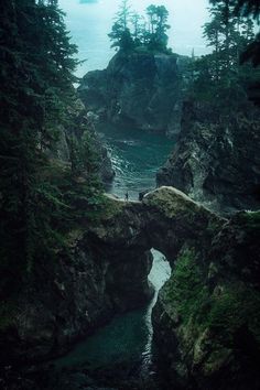 two people standing on the edge of a bridge over a body of water surrounded by trees