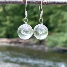 Dandelion Wish Crystal Ball Pendant Earrings Clear Acrylic Crystal Balls Real Dandelion Seed Inside Each 925 Sterling Silver Setting And Fish Hook Backs 11mm Diameter Ball Pendant Crystal Ball Earrings, Honeycomb Necklace, Sunshine Necklace, The Dandelion, Acorn Necklace, Sunflower Ring, Dandelion Wish, Crystal Balls, Dandelion Seed