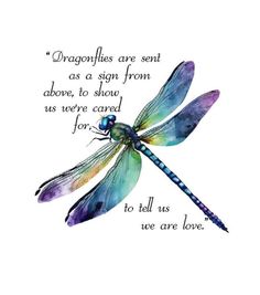 a watercolor drawing of a dragonfly with a quote from the book,'dragonflies are sent as a sign from above, to show us where cared for all we are love