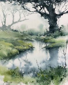 a watercolor painting of a tree and its reflection in the water