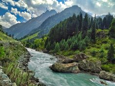 a river running through a lush green forest covered hillside next to a mountain range with tall pine trees