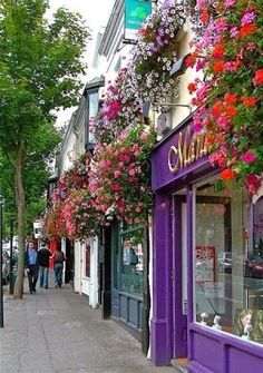 people are walking down the sidewalk in front of shops with flowers hanging from the windows