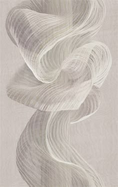 an abstract drawing of white hair on a light gray background, with lines in the middle