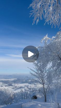 NATALIA | Nature & Reminders on Instagram: "in Germany & Poland ♡

Habt ihr eine Lieblingsjahreszeit?💕

life through the seasons #countryside #countrysidelife nature changing"