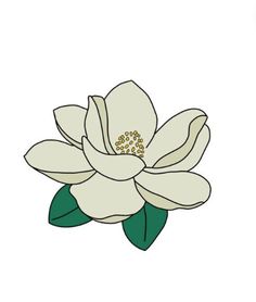 a white flower with green leaves on the top and bottom half of it's petals