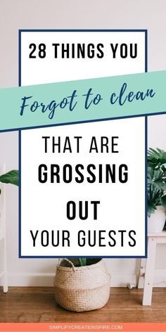 a basket with plants on the floor and text overlay that reads 28 things you forgot to clean that are gross out your guests