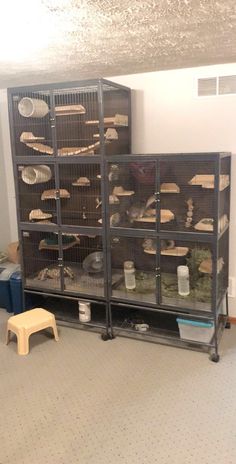 a room filled with lots of different types of breads and pastries in cages