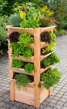 a wooden planter filled with lots of different types of herbs and plants in it