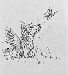 a drawing of a dog sitting in the grass with a butterfly flying over it's head