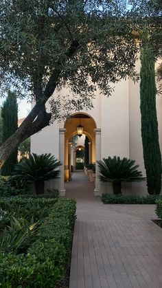 an archway between two trees in front of a white building with green plants on either side