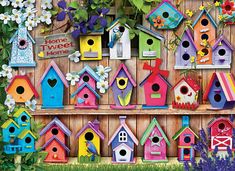 colorful bird houses are displayed on the wall