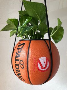 an orange basketball hanging from a planter