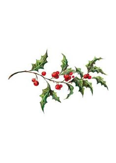 a watercolor painting of holly with red berries and green leaves on a white background