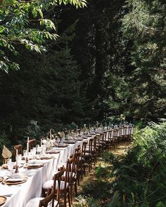 a long table is set up in the woods