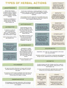 Diy Materia Medica, Herbal Medicine Study Notes, Herbal Materia Medica, Herbal Monograph Template, Herbal Actions, Herbal Formulation, Herbs And Their Uses, Herbal Education, Herbal Academy