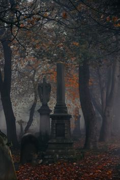 a cemetery in the middle of an autumn forest