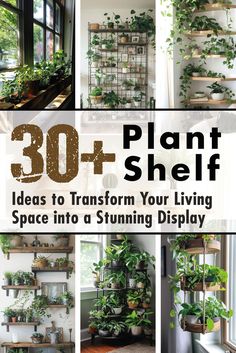 A collage of multiple plant shelf ideas with some text on top of the images. Shelf Design Ideas, Plant Shelf Ideas, Indoor Cactus Garden, Shelf Designs, Indoor Plant Display, Indoor Plant Shelves, Plant Display Ideas, Inside Garden, Bring Nature Indoors