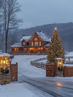 a christmas tree is lit up in front of a large log house with lights on it