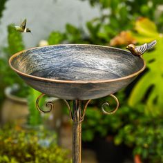 PRICES MAY VARY. Material: The cast iron pedestal bird baths is heavy enough to withstand inclement weather without tipping over. After multi-layer powder coating treatment, it is more rust-proof, durable, easy to clean and weather resistant. Suitable for garden outdoor decoration. Size: The bird baths for outdoors measures 11.4" L X 2.76" D X 27.6" H. Can also be adjusted to 17.7 inches by removing a section of steel pipe. Unique Design: The garden bird bath design with a antique heavy base and Metal Bird Bath, Hanging Bird Bath, Bird Bath Bowl, Bird Fountain, Bird Bath Garden, Bird Baths, How To Attract Birds, Fountains Outdoor, Metal Birds