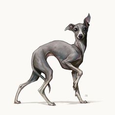 a drawing of a dog standing on its hind legs and looking up at the camera