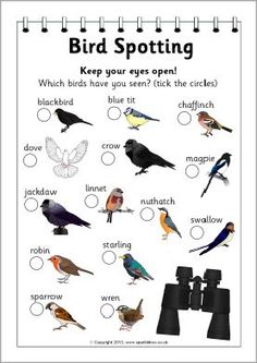 a printable bird spotting activity for kids to learn how to read the words