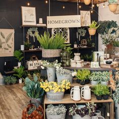 a room filled with lots of potted plants