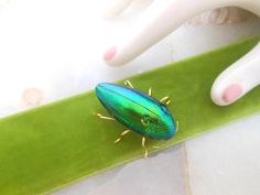 a green bug sitting on top of a leaf next to a person's hand