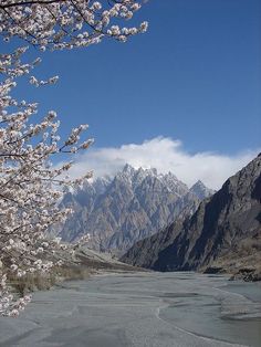 the river is surrounded by mountains and snow - capped trees with white flowers on them