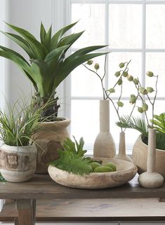 there are many potted plants on the table