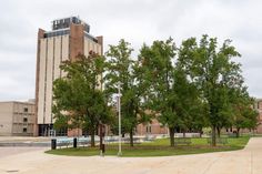 the trees are in front of the building