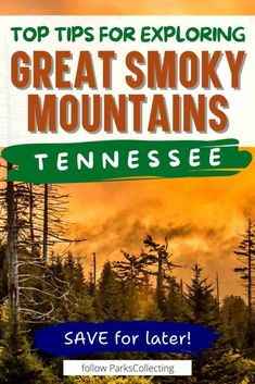 the cover of top tips for exploring great smoky mountains tennessee, with trees in the background