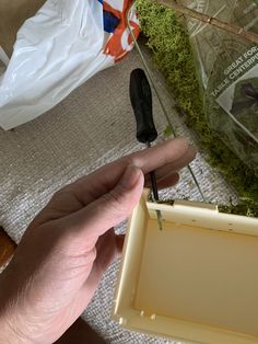 a person holding a knife in front of a box with moss growing out of it