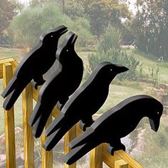 four black birds sitting on top of wooden posts in front of a field and trees