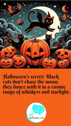 an orange halloween card with black cats and pumpkins in the night sky, on top of