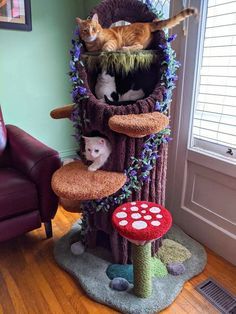 two cats sitting on top of a cat tree in a living room next to a red chair