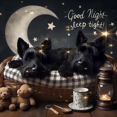 two black dogs laying in a basket with stars and moon on the wall behind them