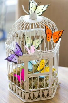 a white birdcage filled with colorful butterflies