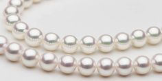 How To Buy Pearls: Insider Secrets (6 Easy Steps) - Pure Pearls Akoya Pearl Necklace, Pearl Farm, Oyster Pearl, Real Pearls, Pearl Types