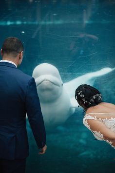 a bride and groom standing in front of a large white whale at the ocean aquarium