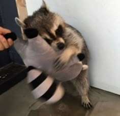 a raccoon standing on its hind legs in front of a door