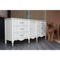 a brown dog standing next to a white dresser with drawers on it's sides