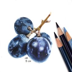 two pencils are next to a drawing of blueberries