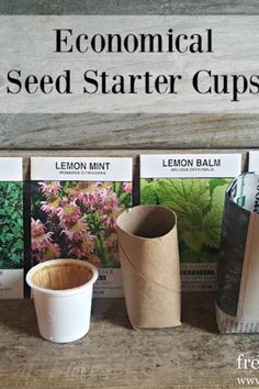 several seed starter cups lined up next to each other on a table with text overlay that reads, economic seed starter cups